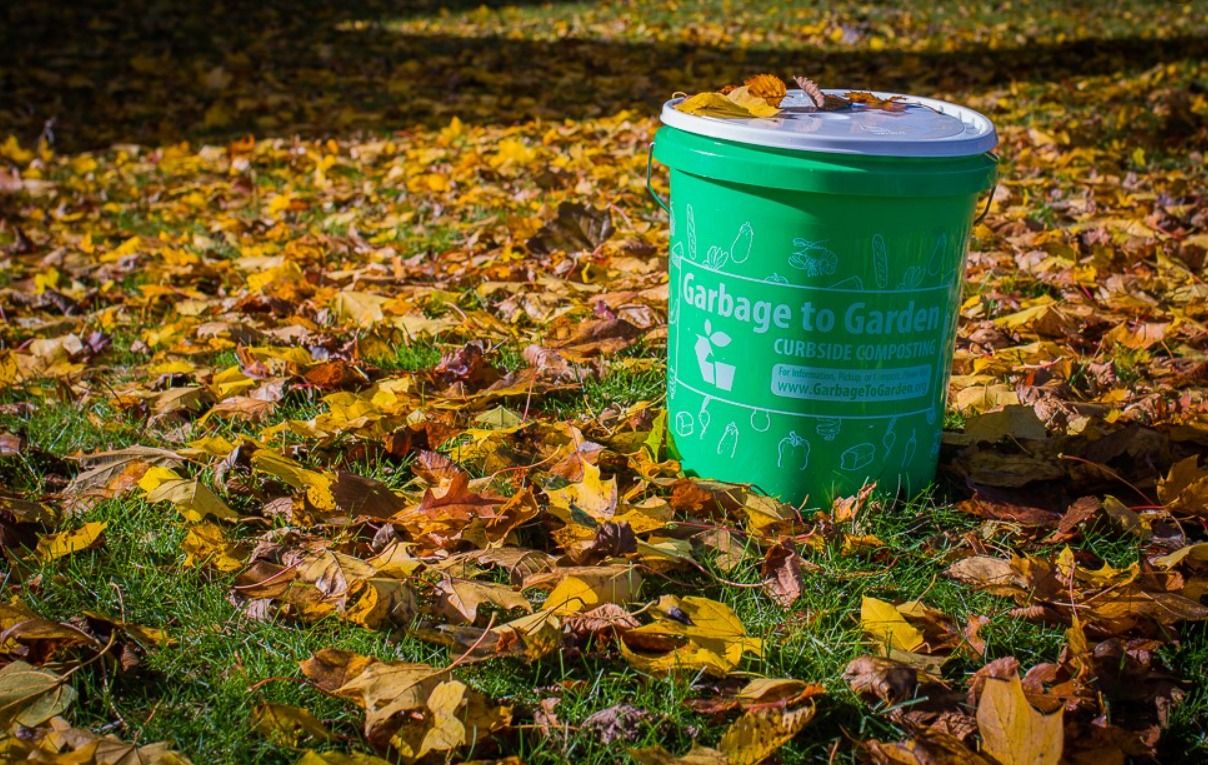 Community Hero May 2021: Garbage to Garden