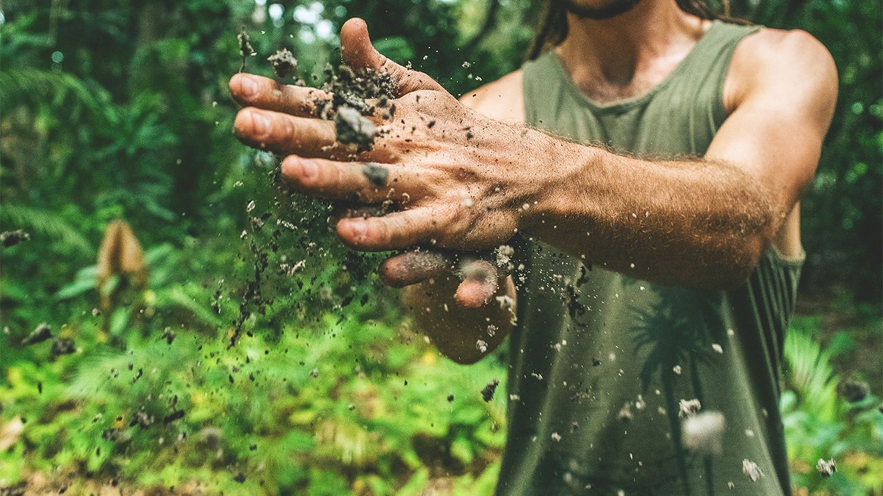 Will compostable bioplastic be part of the EU's soil strategy?