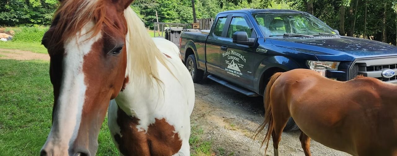 Community Hero April 2022: Music Mountain Compost