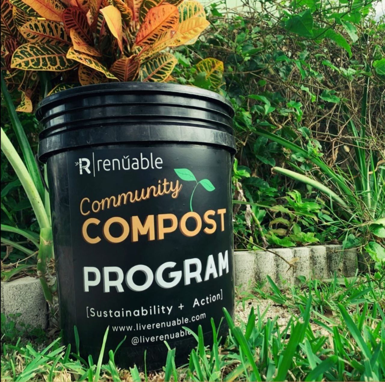 Community Hero March 2024: Reunable