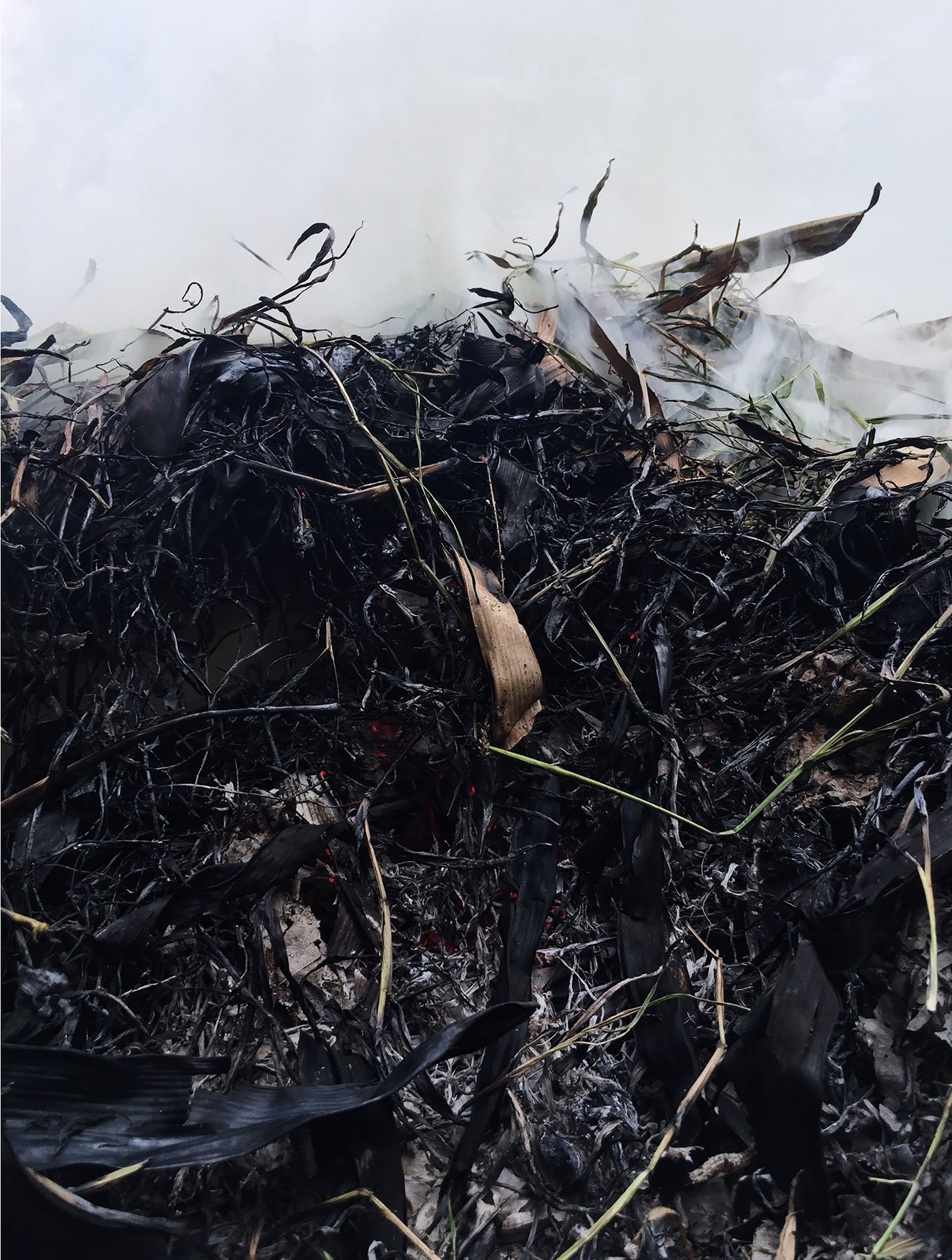 Are OXO-biodegradable plastics environmentally friendly?