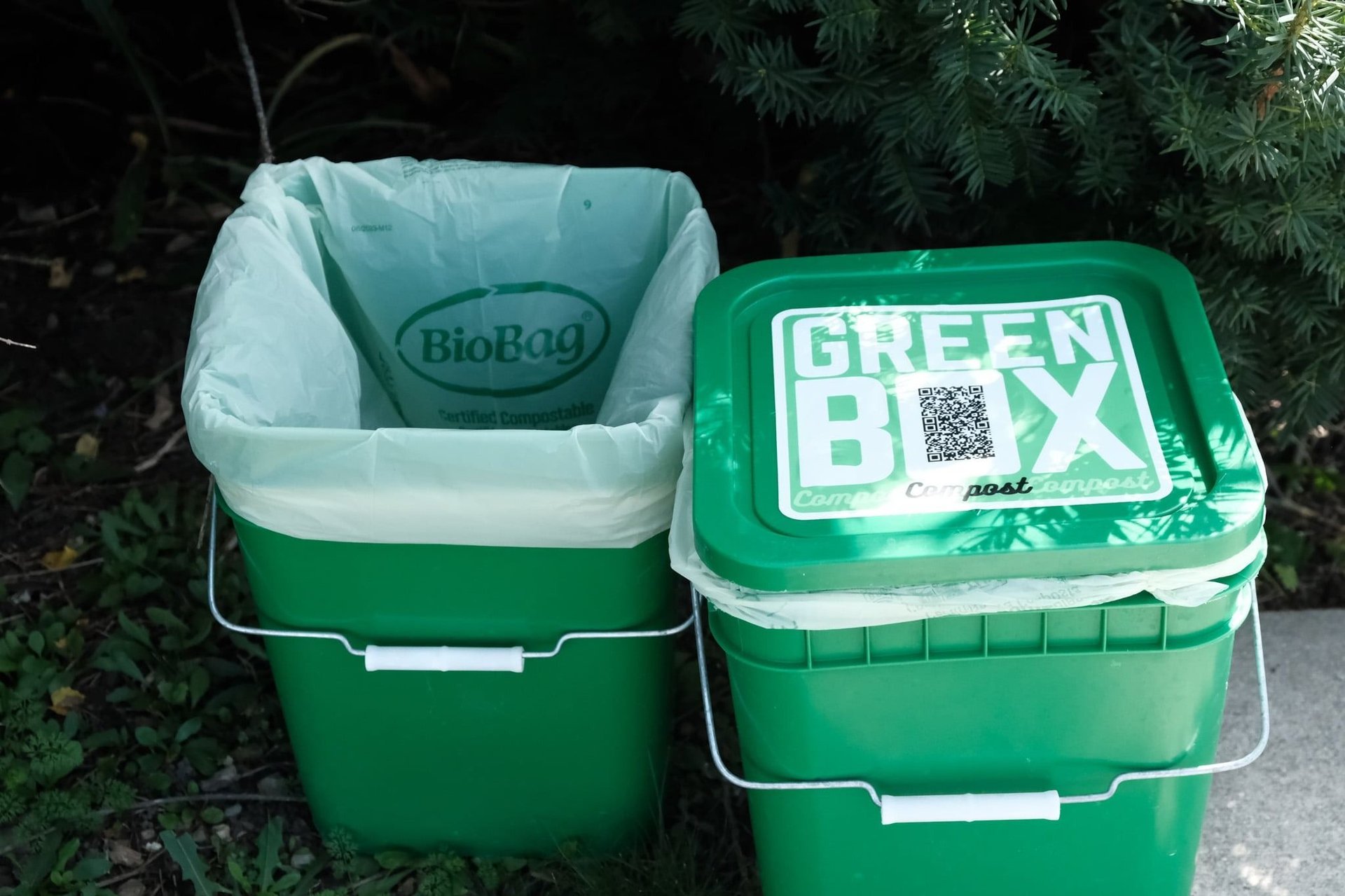 Community Hero December 2023: Green Box