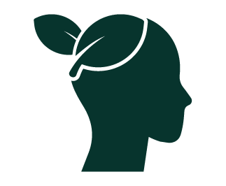icons for website-05.png