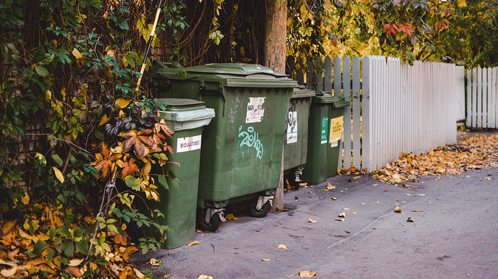 From policy to practice: what it takes to make food waste systems work